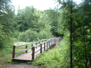 Bridge over a marsh in Porcupine Mountains State Park in Michigan