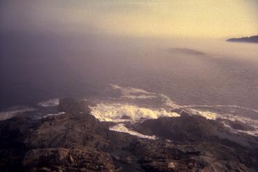 Waves crashing on the rocky shore at Acadia National Park in Maine.