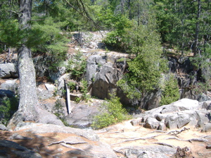 Tree roots in a rocky cliff at Dave's Falls County Park, Marinette County, Wisconsin.