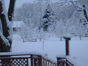 Fresh winter snow in my backyard in De Pere, Wisconsin.