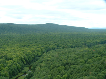 View of the back county from a peak at Porcupine Mountains State Park in Michigan